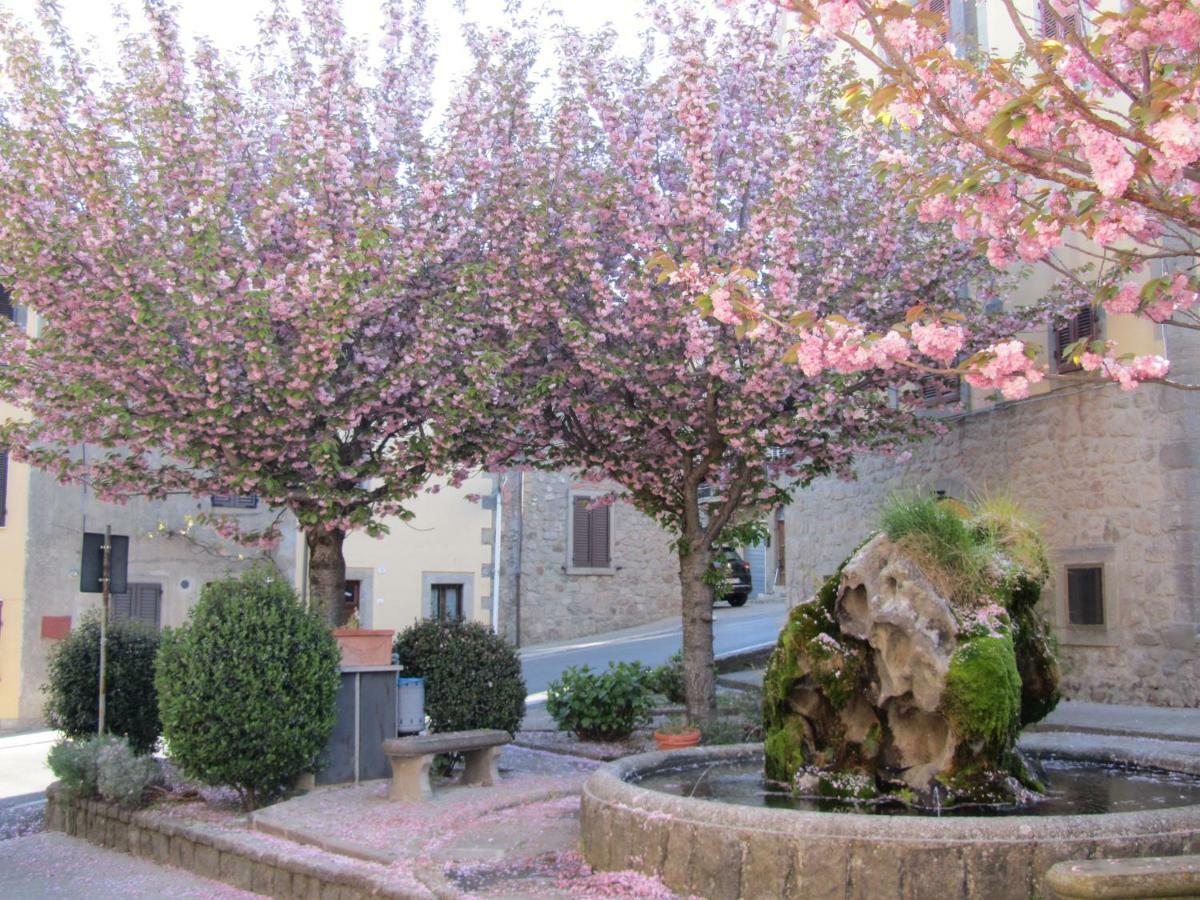 Casa Giuly Apartman Vivo dʼOrcia Kültér fotó